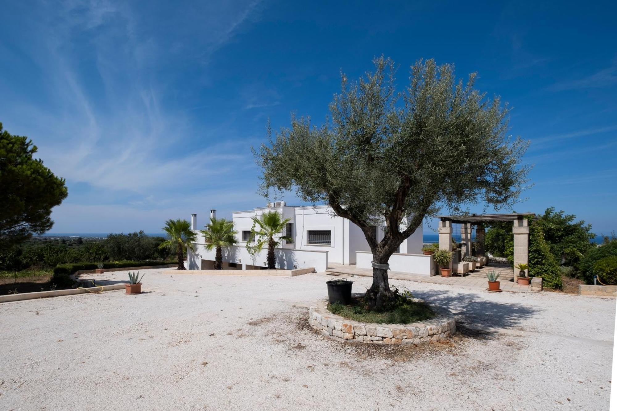 Il Carrubo Villa Polignano a Mare Luaran gambar