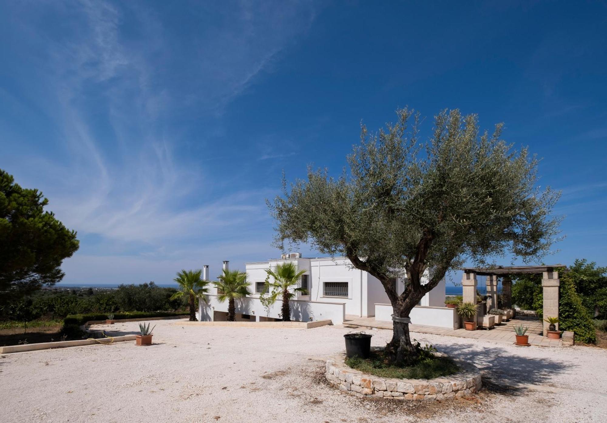 Il Carrubo Villa Polignano a Mare Luaran gambar